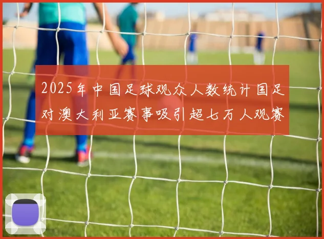 2025年中国足球观众人数统计国足对澳大利亚赛事吸引超七万人观赛