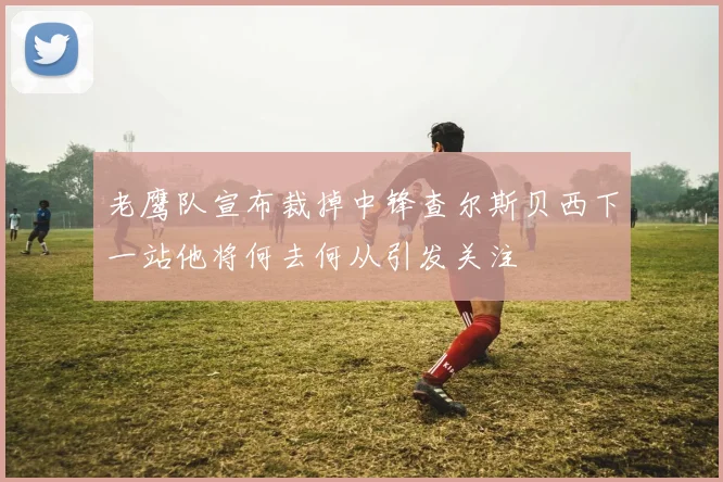 老鹰队宣布裁掉中锋查尔斯贝西下一站他将何去何从引发关注