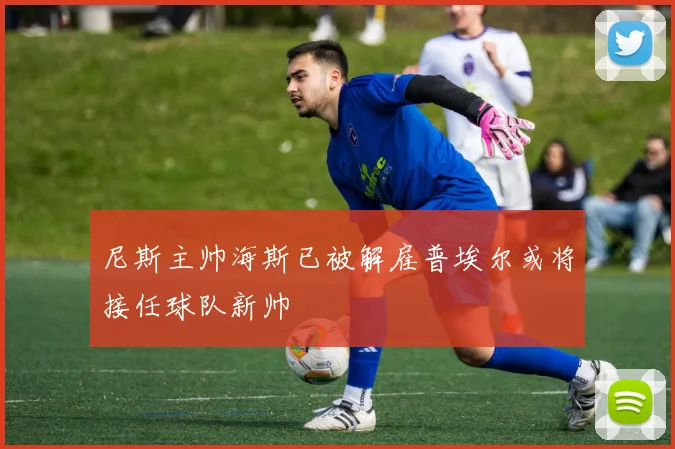 尼斯主帅海斯已被解雇普埃尔或将接任球队新帅